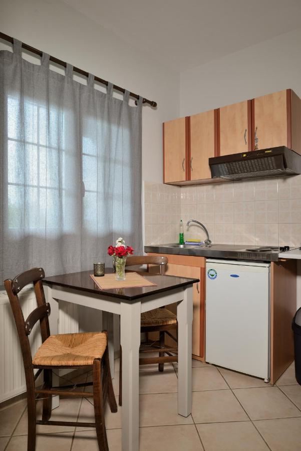 Artemis Apartments Konitsa Zewnętrze zdjęcie