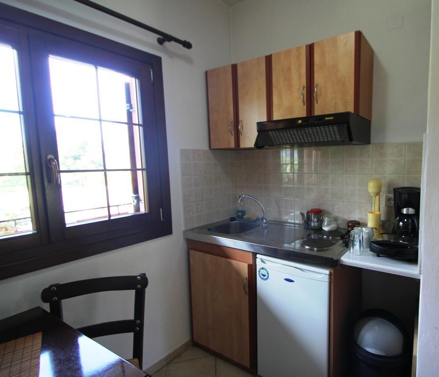 Artemis Apartments Konitsa Pokój zdjęcie