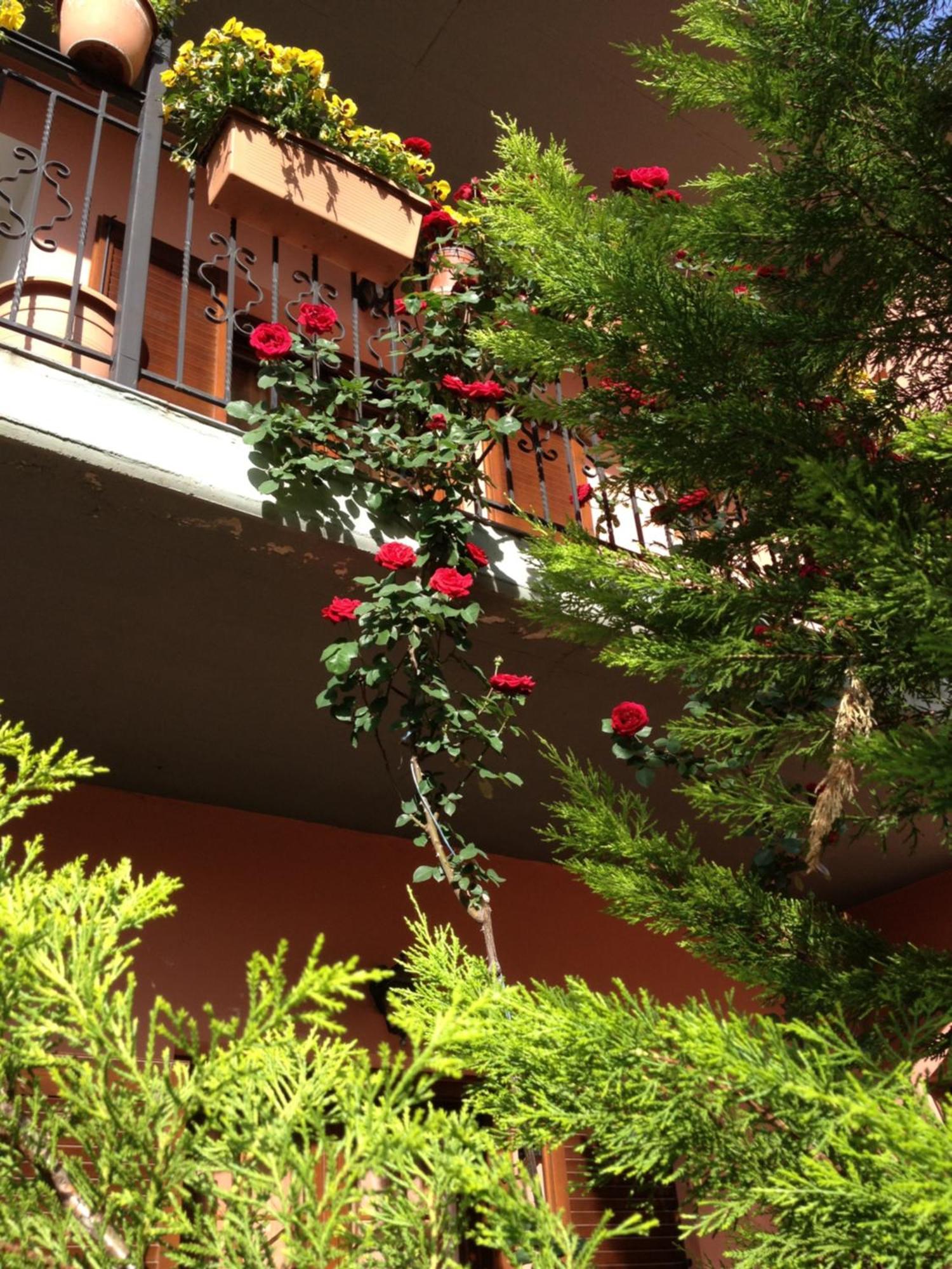 Artemis Apartments Konitsa Zewnętrze zdjęcie