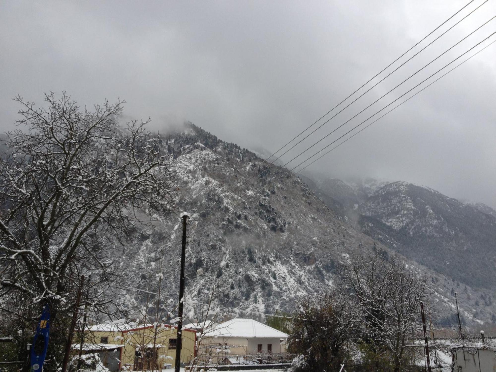 Artemis Apartments Konitsa Zewnętrze zdjęcie