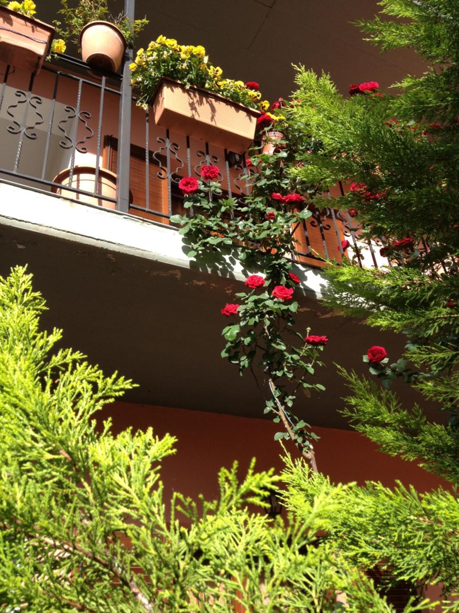 Artemis Apartments Konitsa Zewnętrze zdjęcie