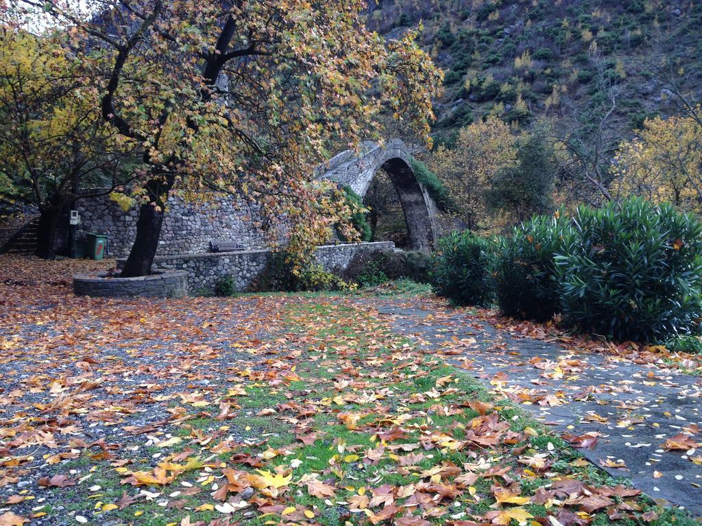 Artemis Apartments Konitsa Zewnętrze zdjęcie