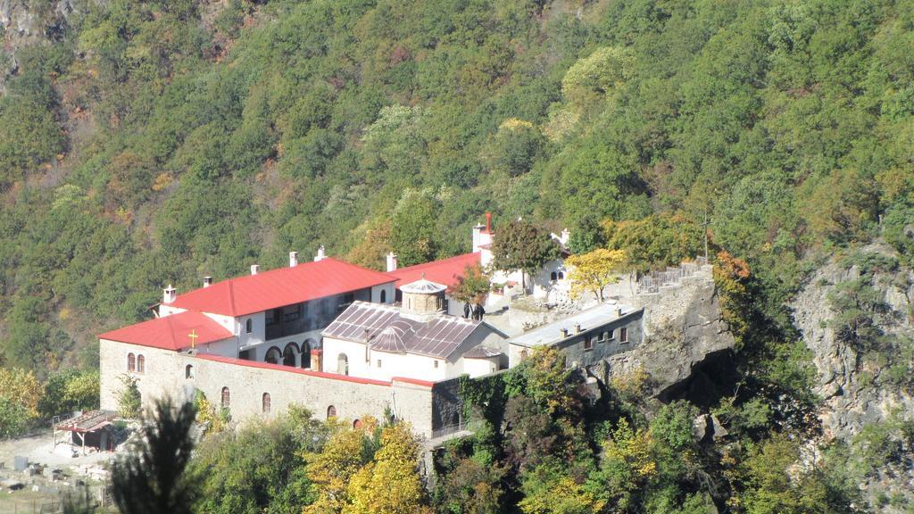 Artemis Apartments Konitsa Zewnętrze zdjęcie